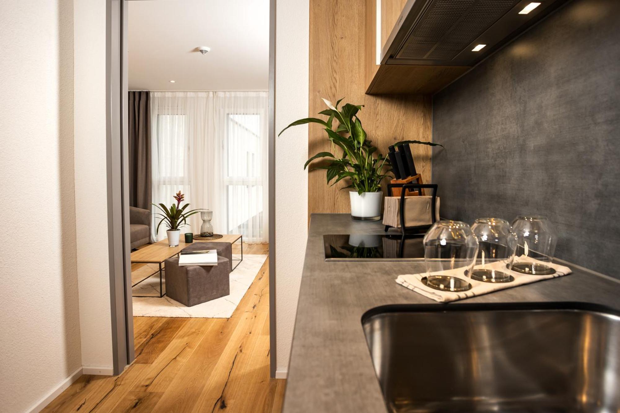 Lms - La Maison Suisse - Doettingen Dottingen Екстериор снимка